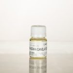 Fragancia Manzana Canela Reeds