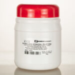 Glucosa